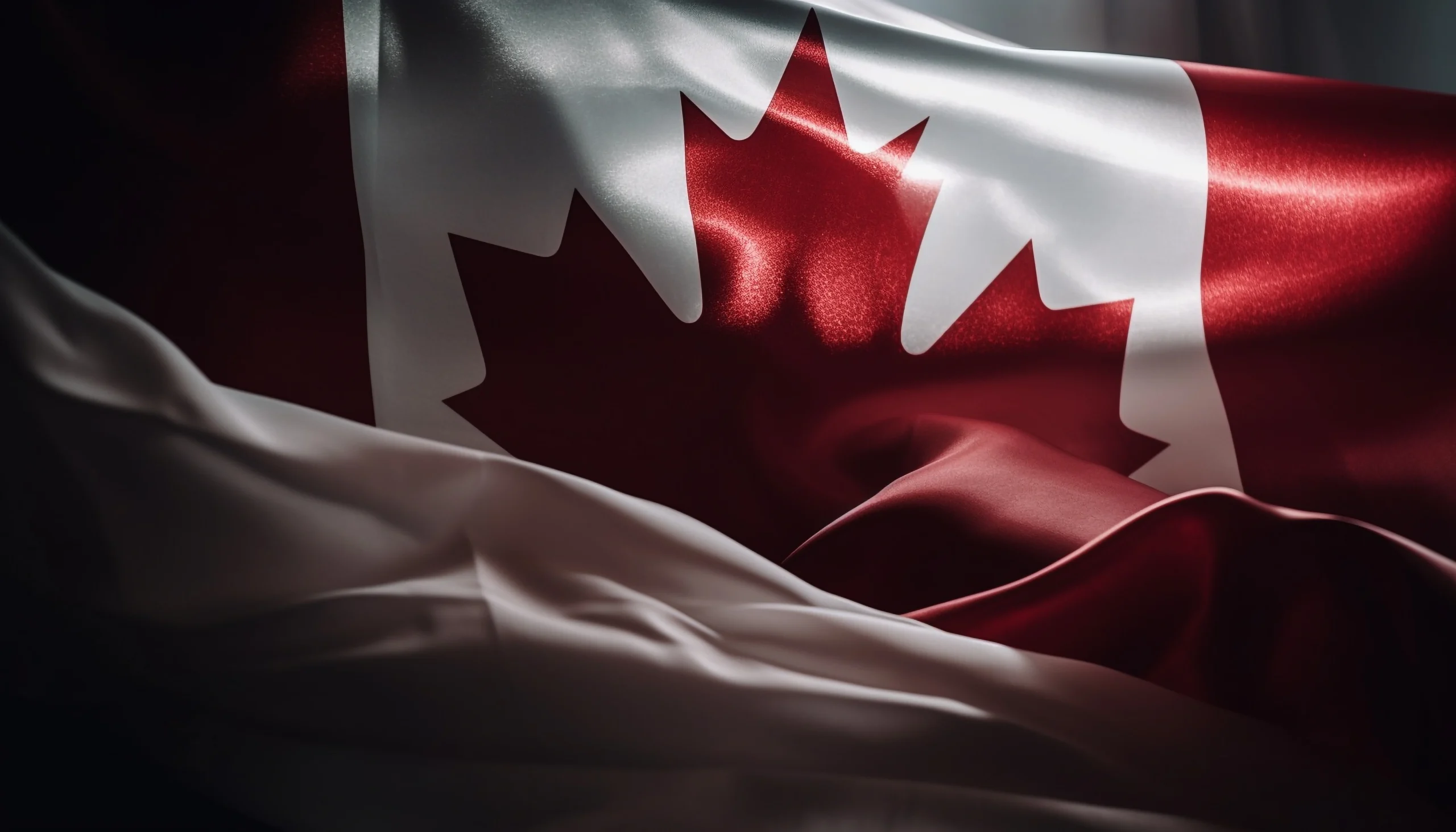 Shachi Kurl puts Canada’s new PM on notice in the New York Times thumbnail